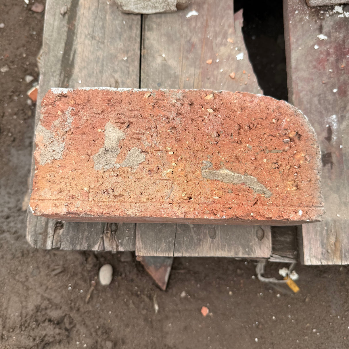 Reclaimed Wirecut Bullnose Bricks