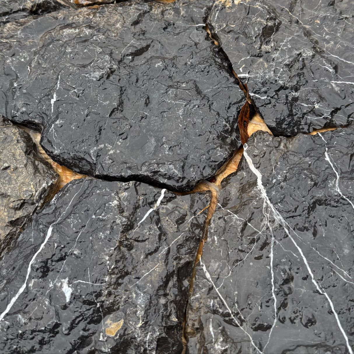 Narcisse Black Stone Cladding