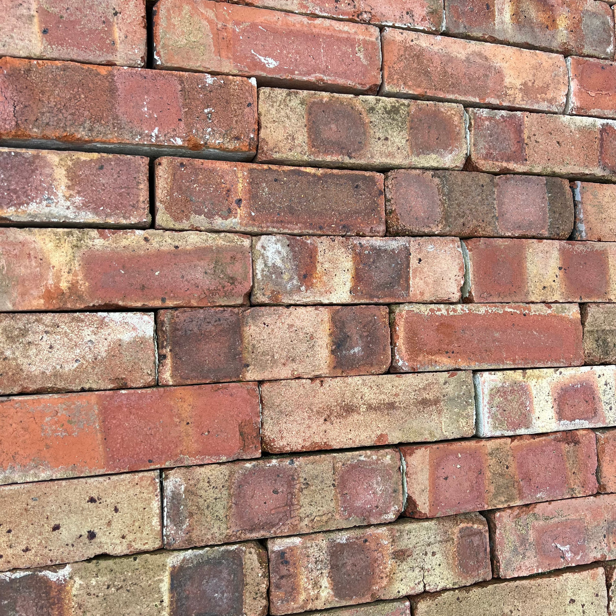 Reclaimed 65mm Scotch Common Brick | Pack of 250 Bricks | Free Delivery