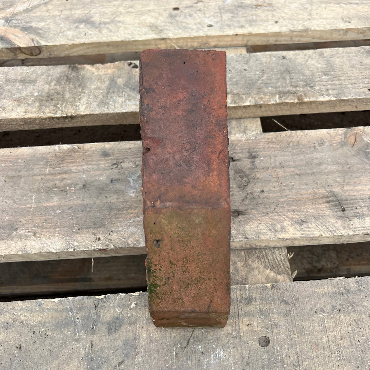 Reclaimed Angled Cant Brick