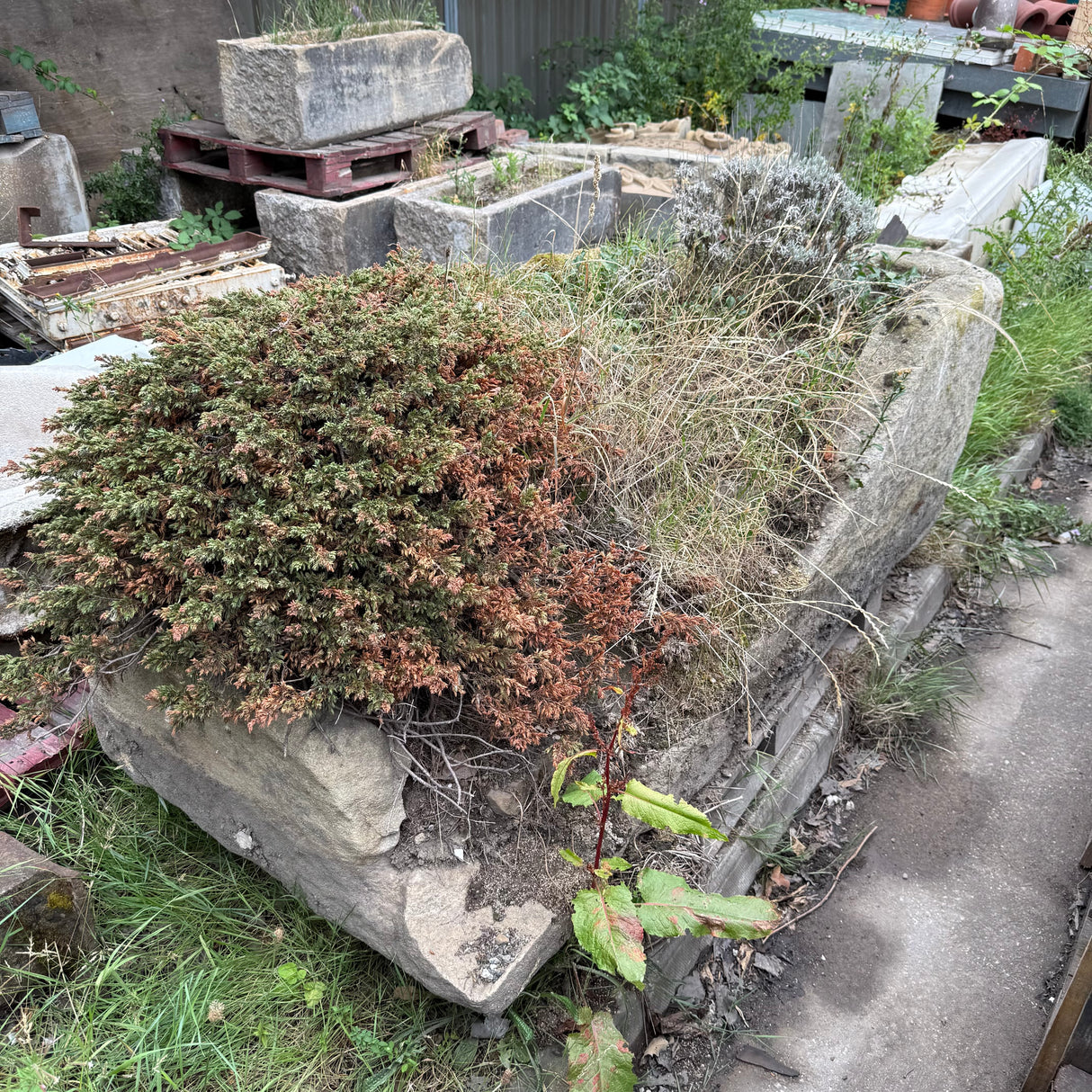Reclaimed Large Stone Trough