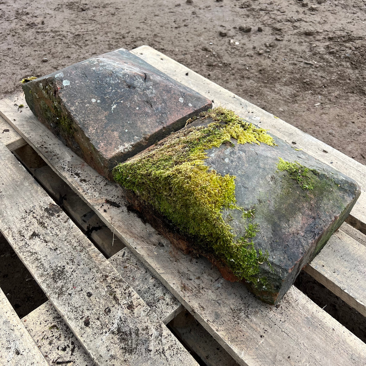 Reclaimed Brick Wall Coping End - Set of Two