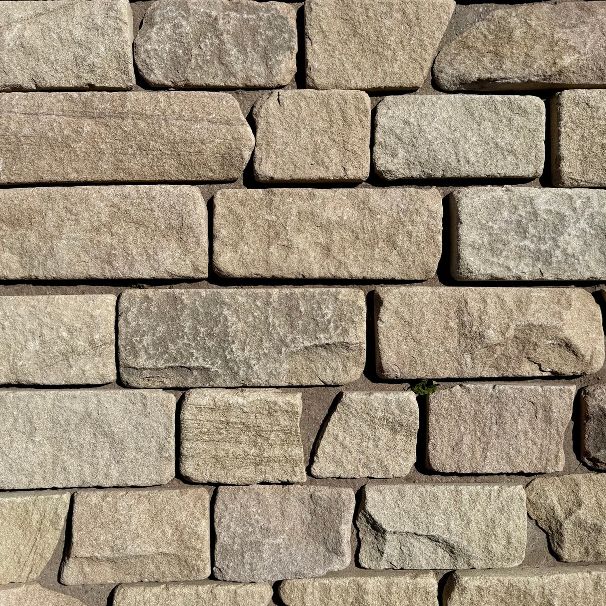Britannia Buff Natural Stone Cladding - Per SQM