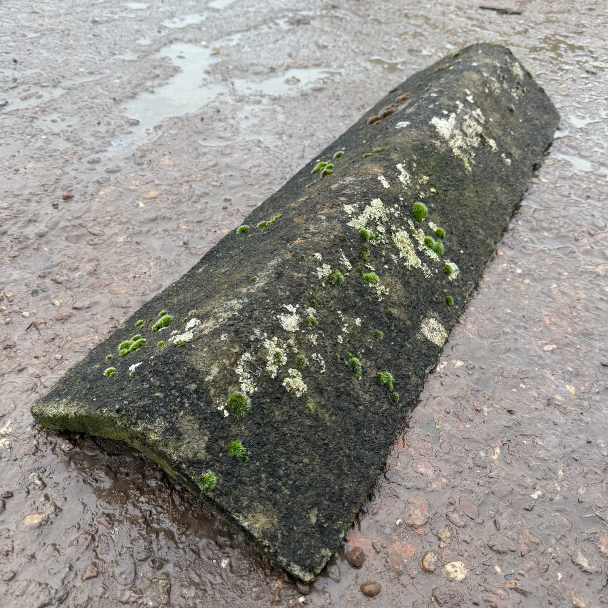 Reclaimed Weathered Concrete Ridge Tile