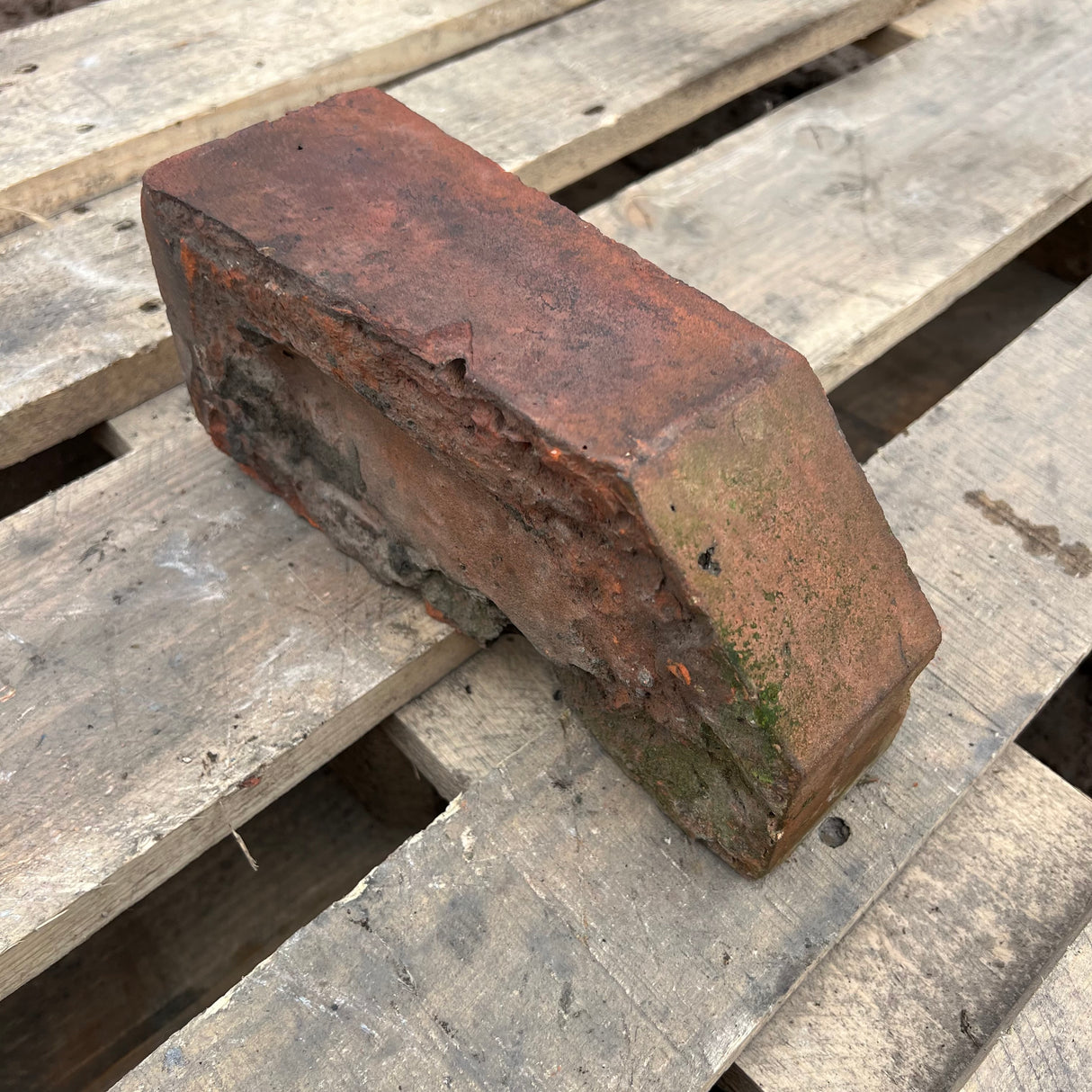 Reclaimed Angled Cant Brick