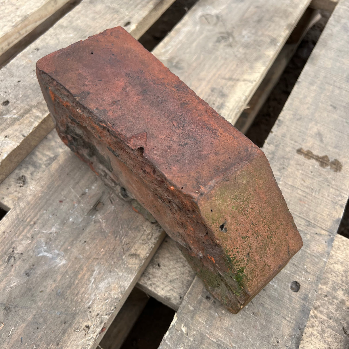 Reclaimed Angled Cant Brick