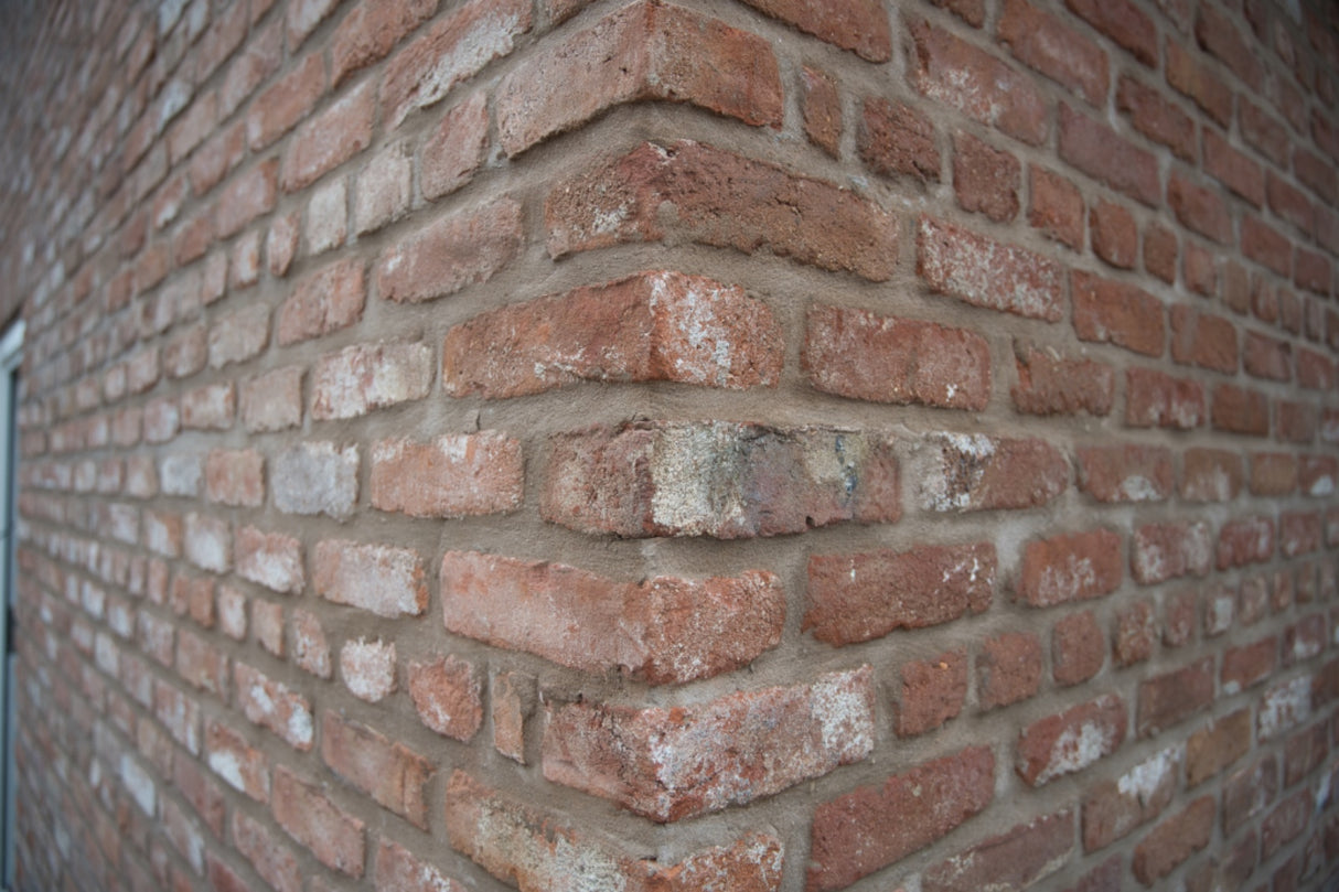 Reclaimed Brick Bungalow and Garden Walls in King's Lynn