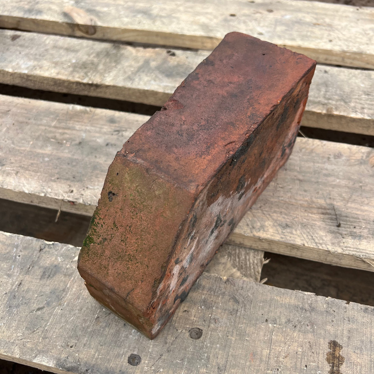 Reclaimed Angled Cant Brick