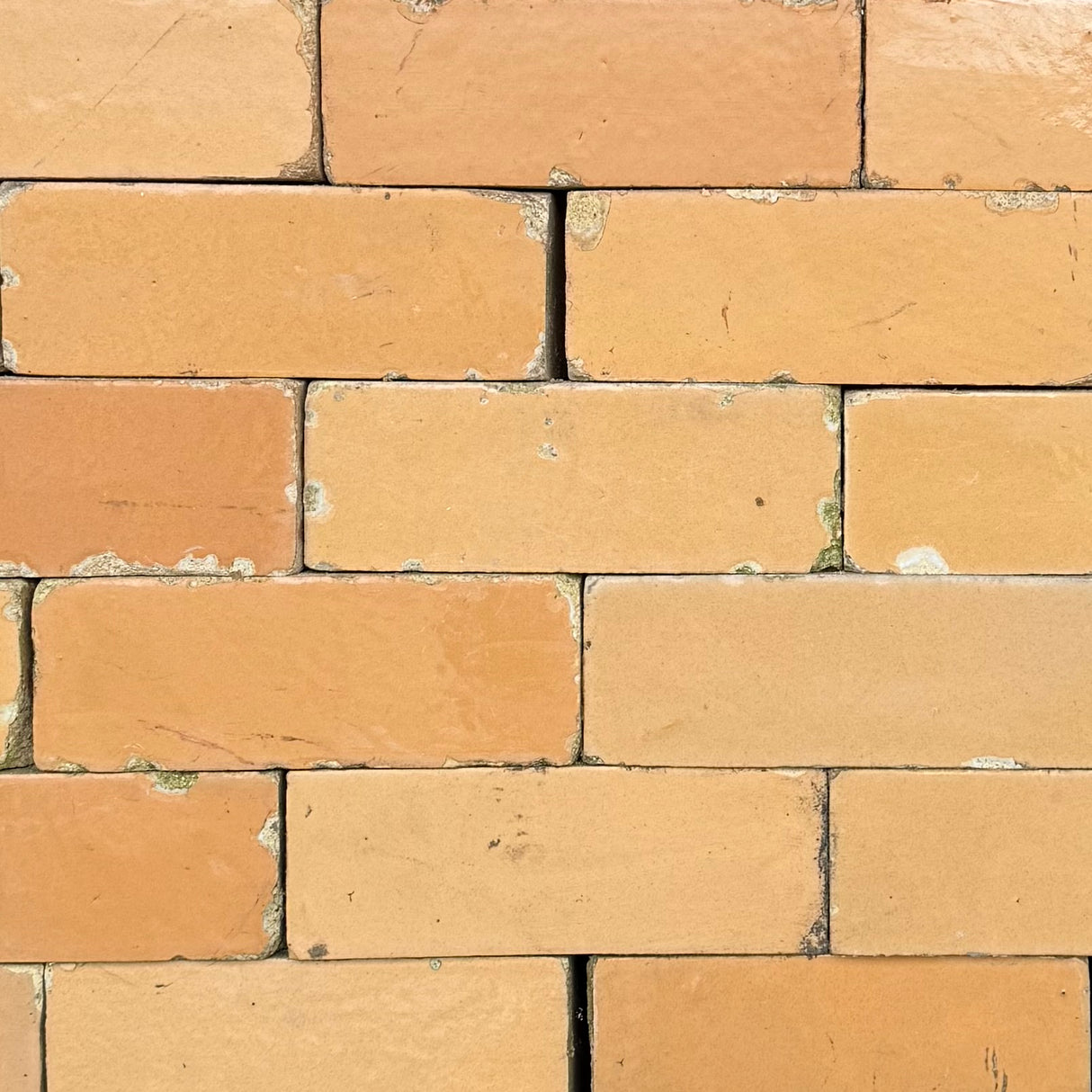 Reclaimed Beige Glazed Bricks