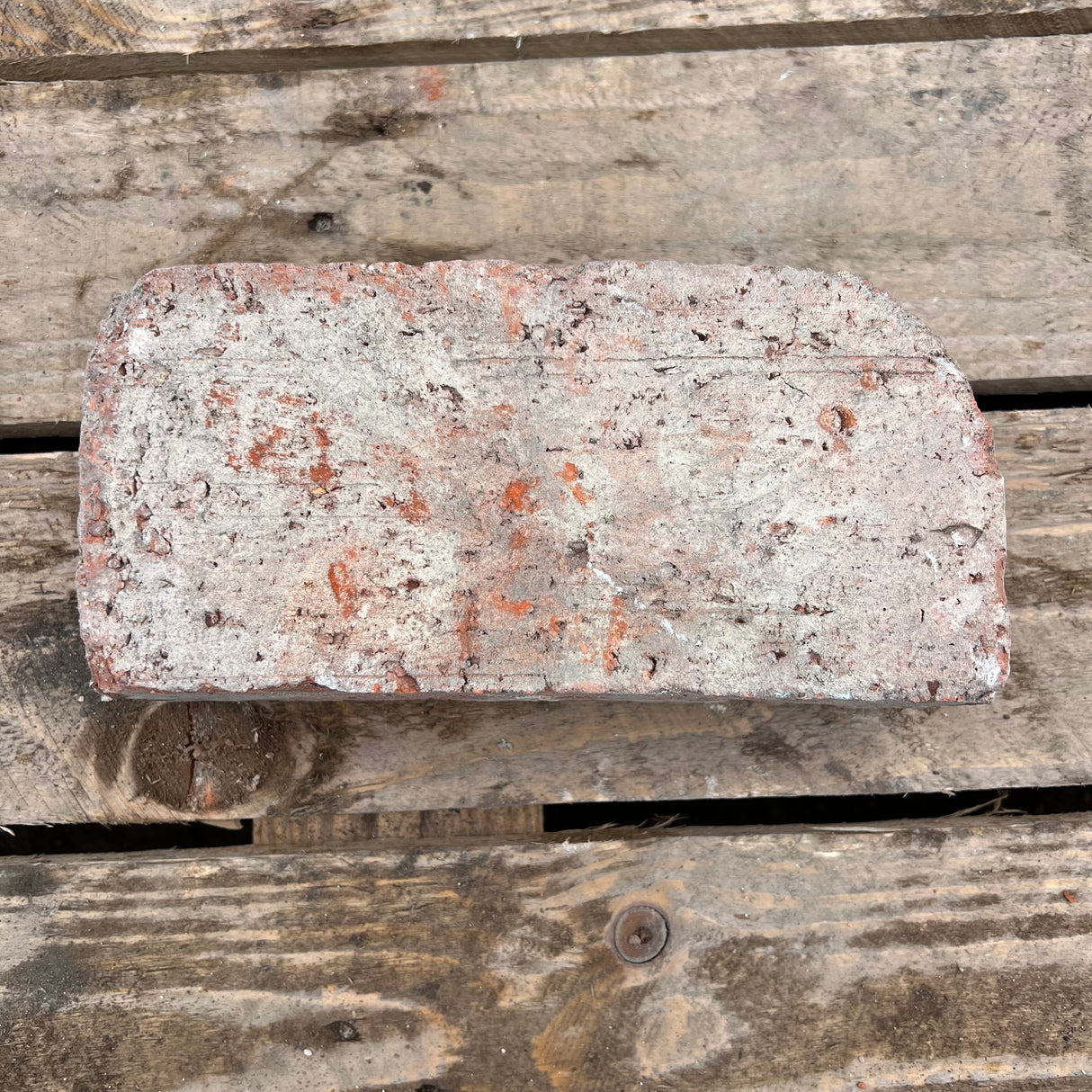 Reclaimed Imperial Wirecut Bullnose Brick