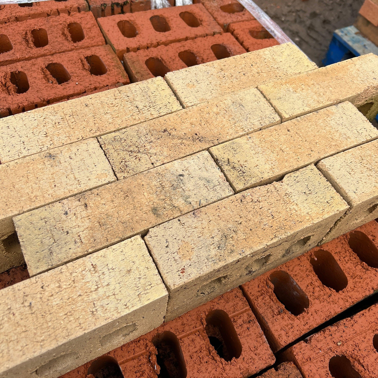 65mm Yellow Dragface Wirecut Facing Bricks - New - Reclaimed Brick Company