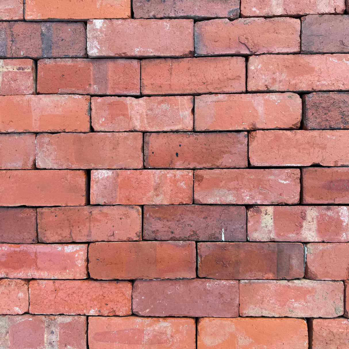 Reclaimed Red Imperial Pressed Brick | Pack of 250 Bricks | Free Delivery