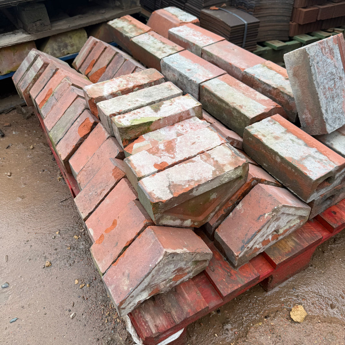 Reclaimed Red Triangle Coping Bricks