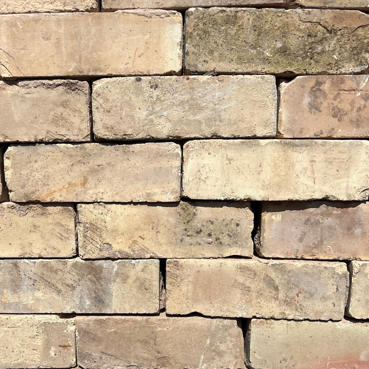 Reclaimed 73mm White Gault Bricks | Pack of 250 | Free Delivery