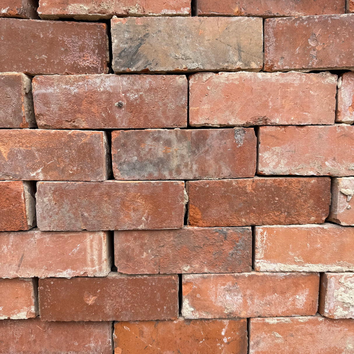 Reclaimed Orange Pressed Facing Brick | Pack of 250 Bricks | Free Delivery