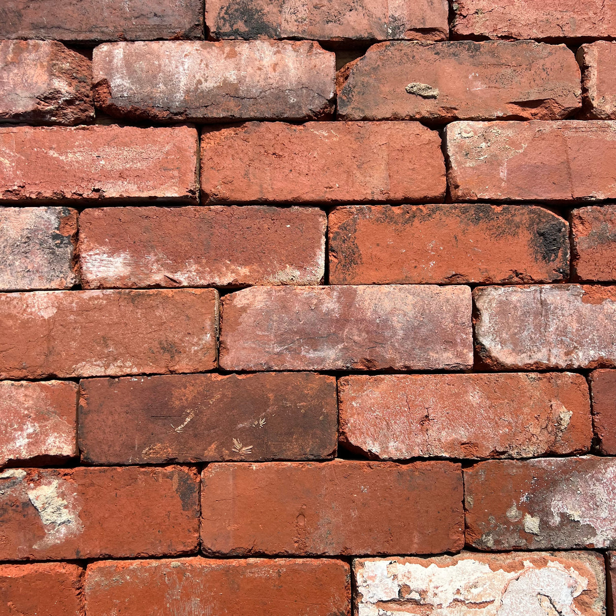 Reclaimed Industrial Blend Brick Slips