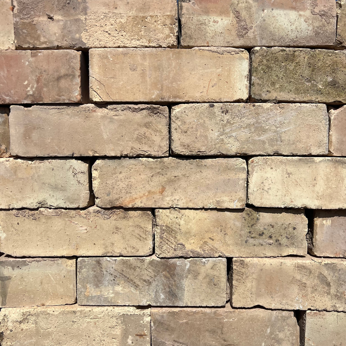 Reclaimed 73mm White Gault Bricks | Pack of 250 | Free Delivery