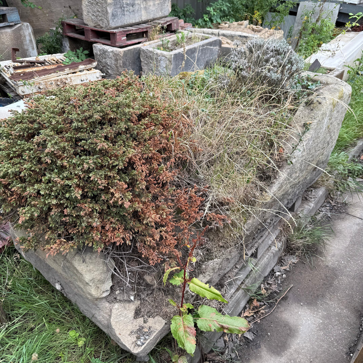 Reclaimed Large Stone Trough