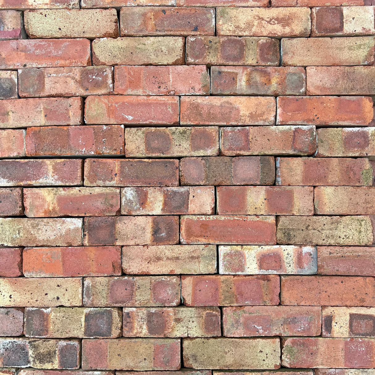 Reclaimed 65mm Scotch Common Brick | Pack of 250 Bricks | Free Delivery