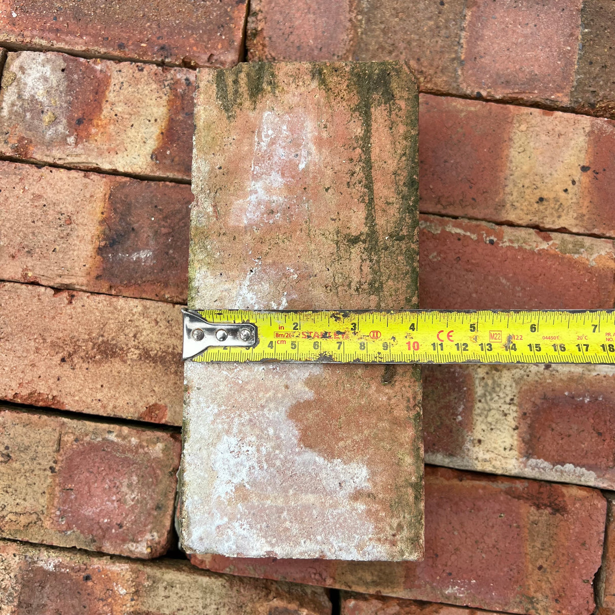 Reclaimed 65mm Scotch Common Brick | Pack of 250 Bricks | Free Delivery
