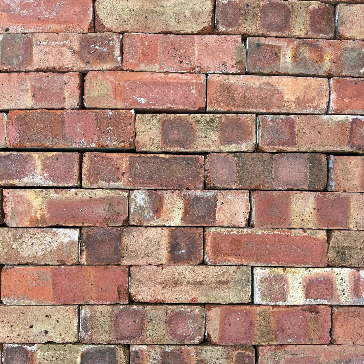 Reclaimed 65mm Scotch Common Brick | Pack of 250 Bricks | Free Delivery