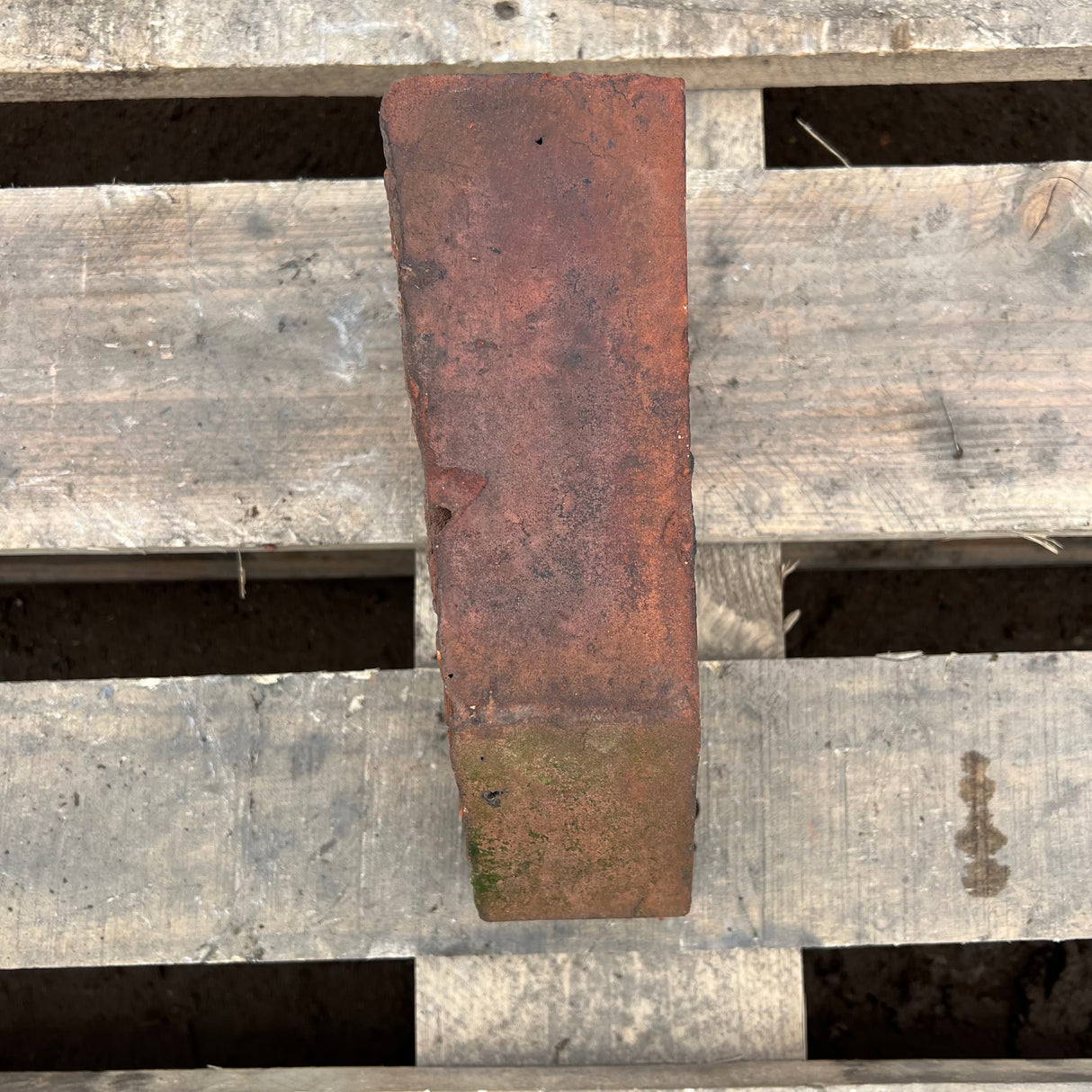 Reclaimed Angled Cant Brick