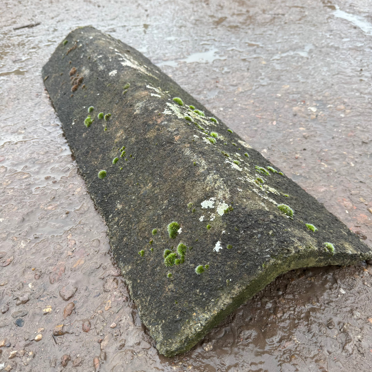 Reclaimed Weathered Concrete Ridge Tile