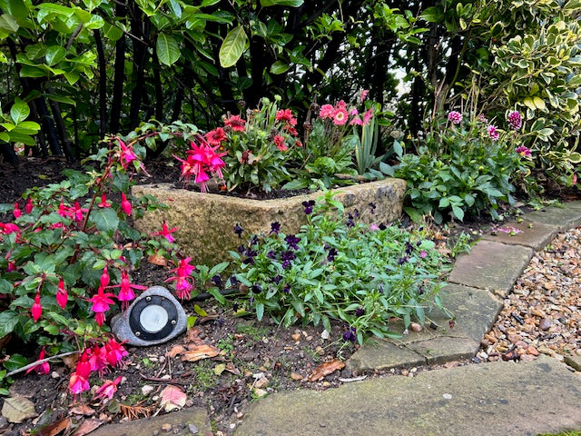Reclaimed Stone Trough in Cotswold Garden