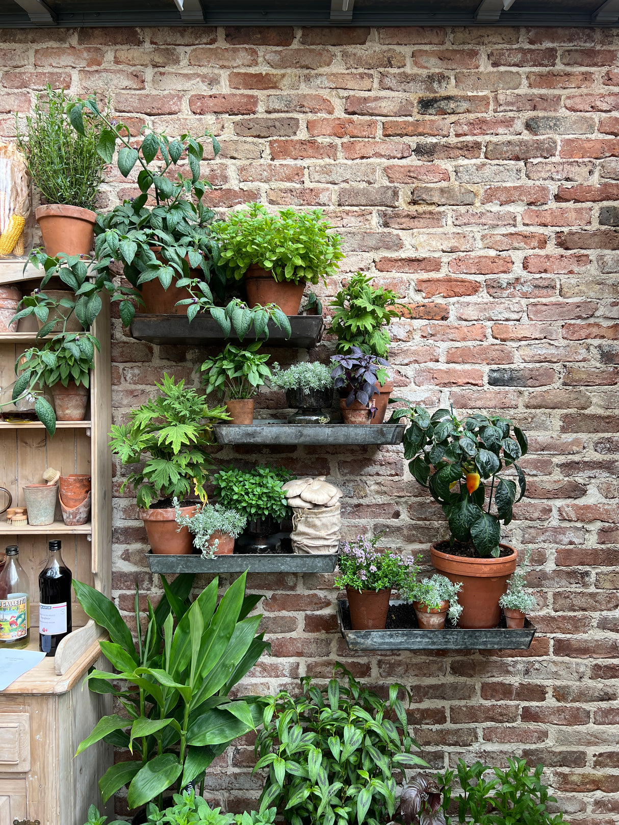 Reclaimed Tudor Brick Slips - Handmade Brick Slips Cut From Real Reclaimed Bricks