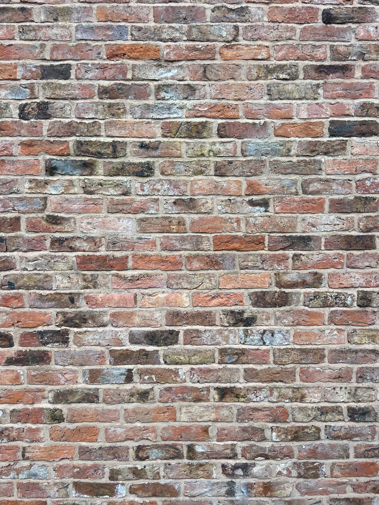 Reclaimed Handmade Brick Garden Room in Rugeley