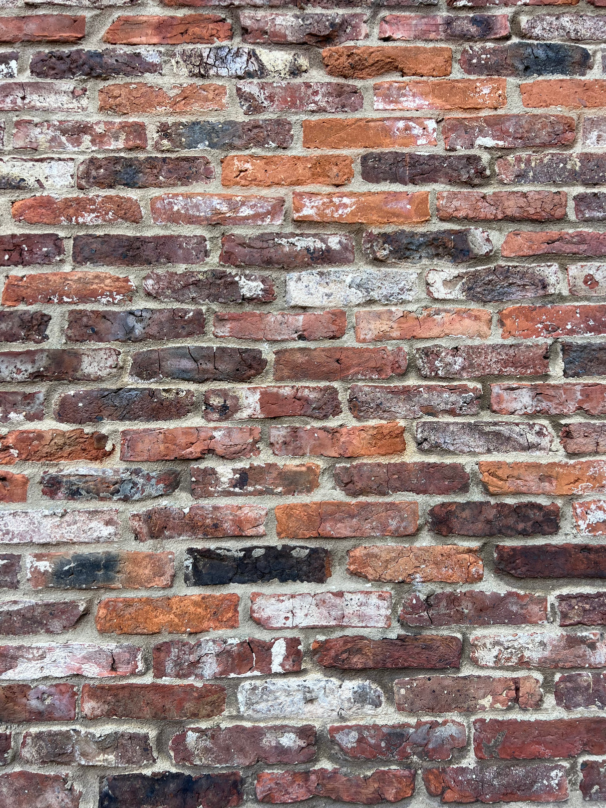 Reclaimed Brick Victorian House Build in Whitby
