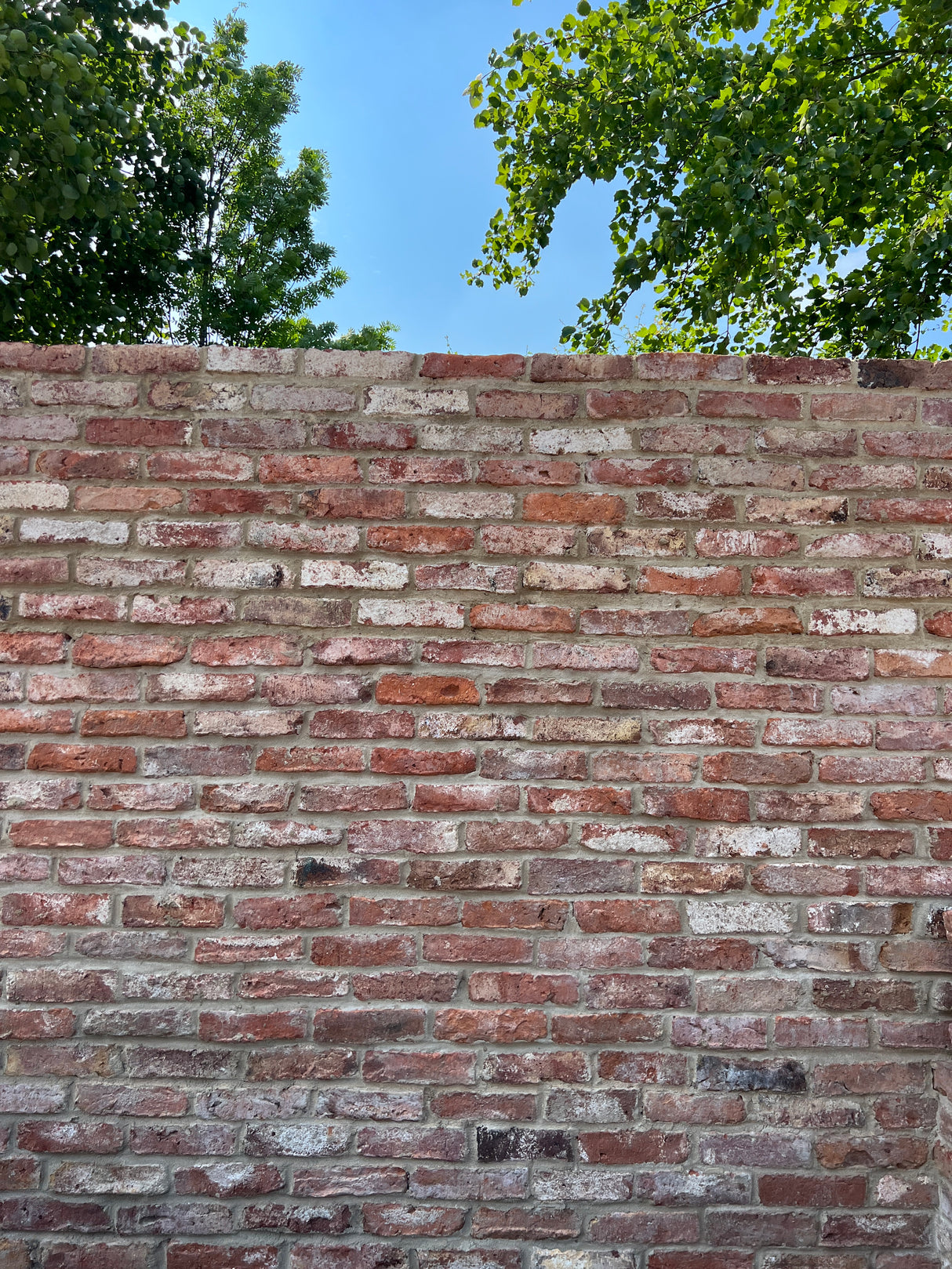 Reclaimed Brick Walled Garden in Warwickshire