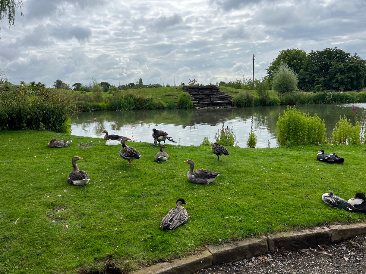 Reclaimed Brick Build at Over Tabley Hall, Knutsford, Cheshire