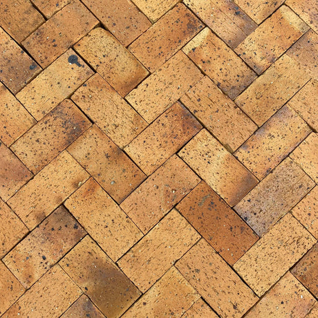 Montréal Maple Paving Brick - Reclaimed Brick Company