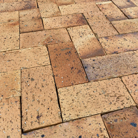 Montréal Maple Paving Brick - Reclaimed Brick Company