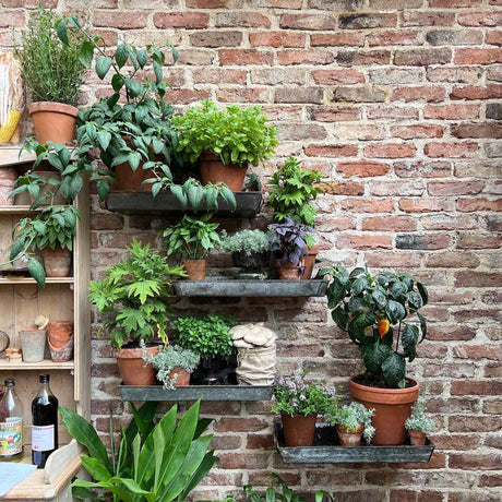 Reclaimed 2 1/2 inch Tudor Handmade Bricks | Pack of 450 Bricks | Free Delivery - Reclaimed Brick Company