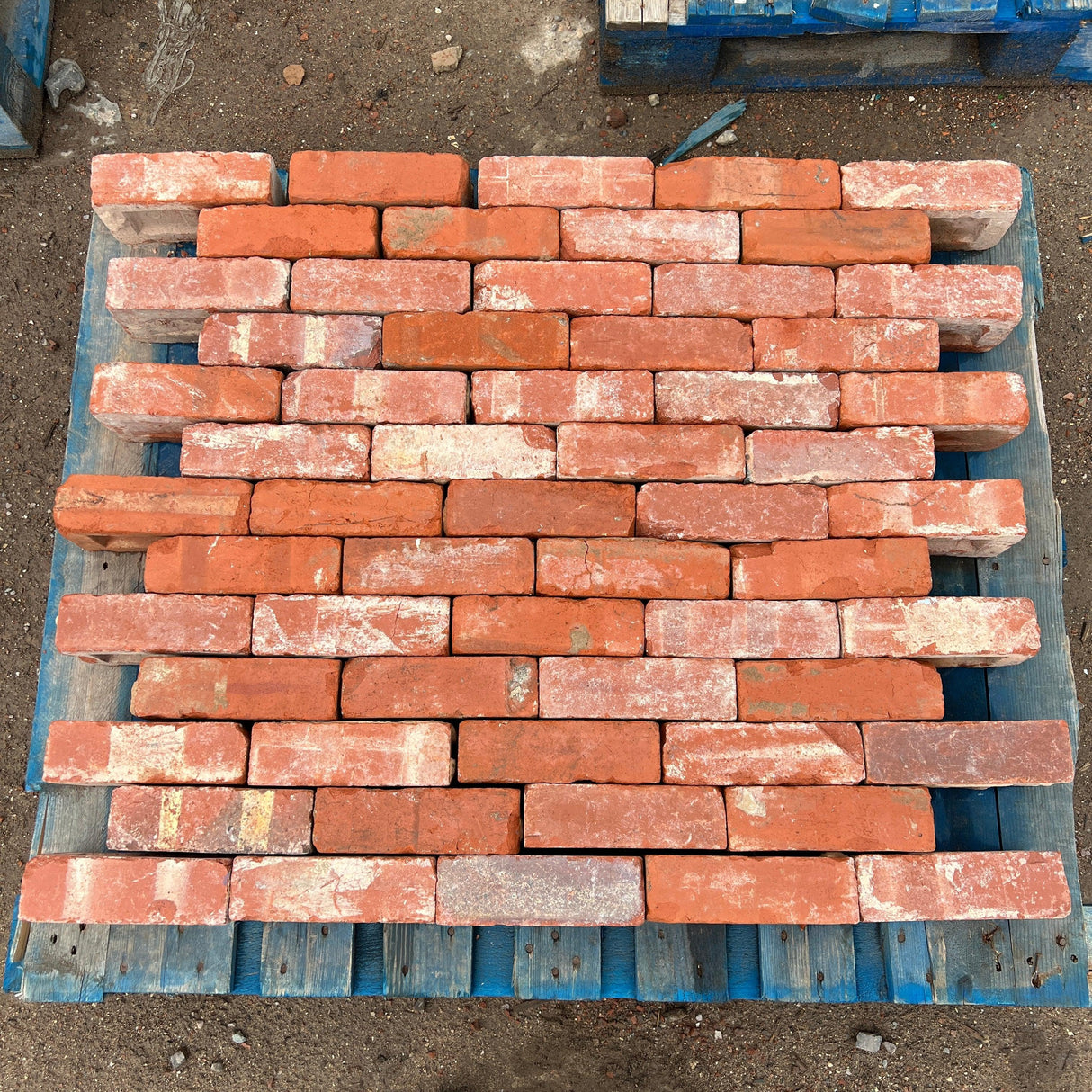 65mm Common Brick Wall - Reclaimed Brick Company