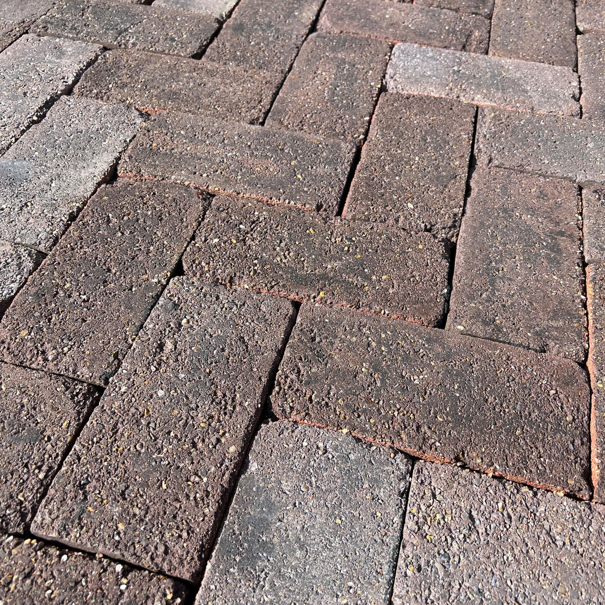 Reclaimed Brindle Blue Paving Bricks | Pack of 250 Bricks | Free Delivery - Reclaimed Brick Company