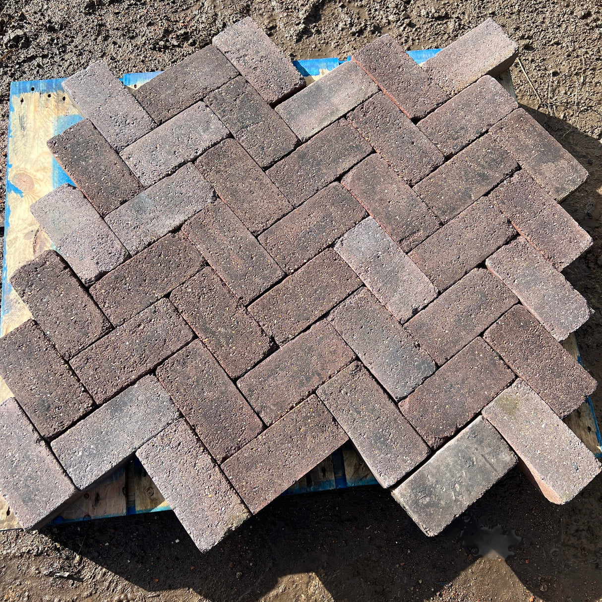 Reclaimed Brindle Blue Paving Bricks | Pack of 250 Bricks | Free Delivery - Reclaimed Brick Company