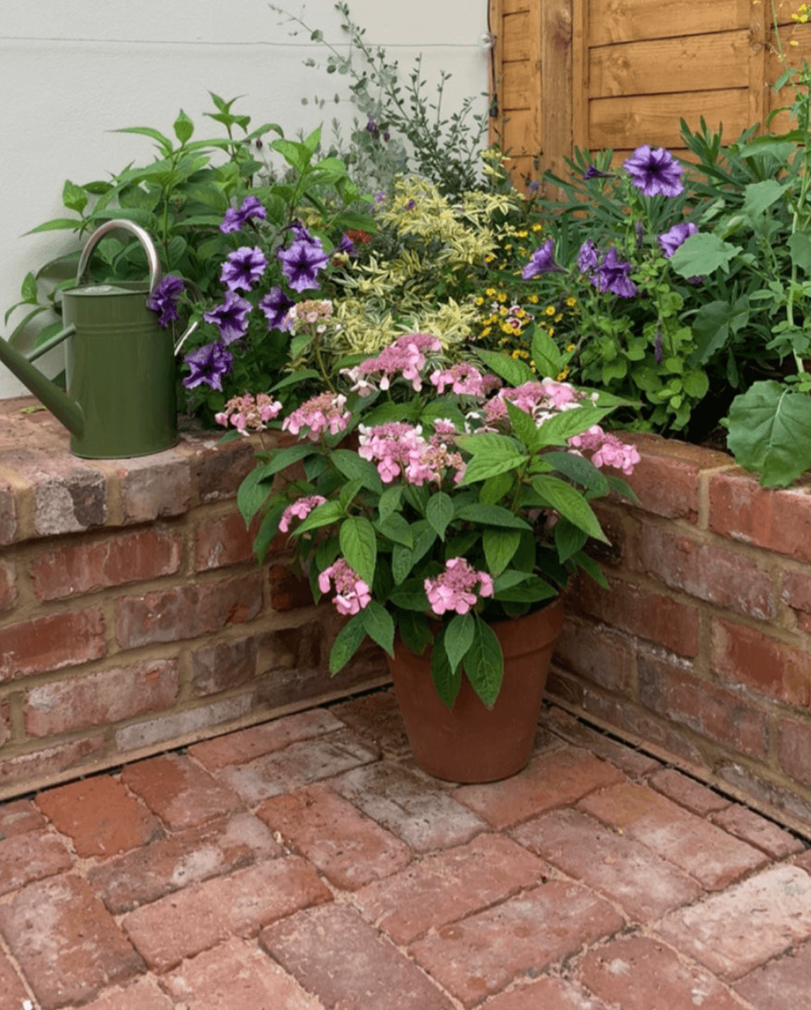 Reclaimed Clay Paving Bricks | Pack of 250 Bricks | Free Delivery - Reclaimed Brick Company