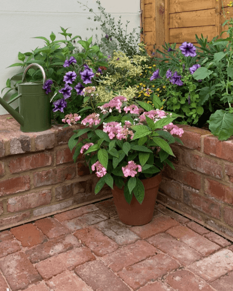 Reclaimed Clay Paving Bricks | Pack of 250 Bricks | Free Delivery - Reclaimed Brick Company