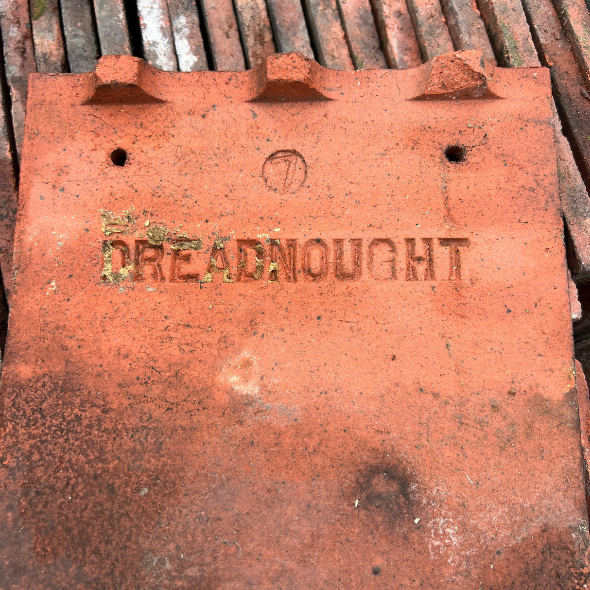 Reclaimed Lightmoor Clay Roof Tiles