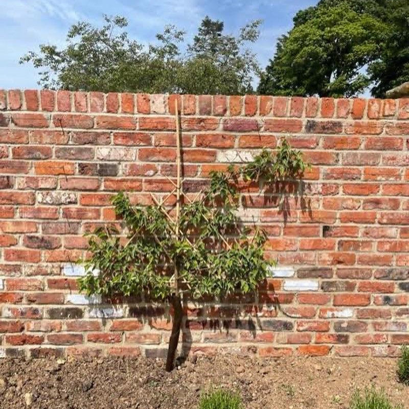 Reclaimed Handmade Farmhouse Imperial Bricks | Pack of 250 Bricks | Free Delivery - Reclaimed Brick Company