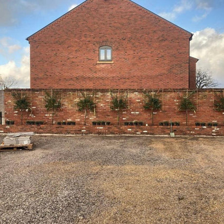 Reclaimed Handmade Farmhouse Imperial Bricks | Pack of 250 Bricks | Free Delivery - Reclaimed Brick Company