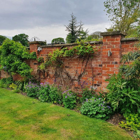 Reclaimed Handmade Farmhouse Imperial Bricks | Pack of 250 Bricks | Free Delivery - Reclaimed Brick Company