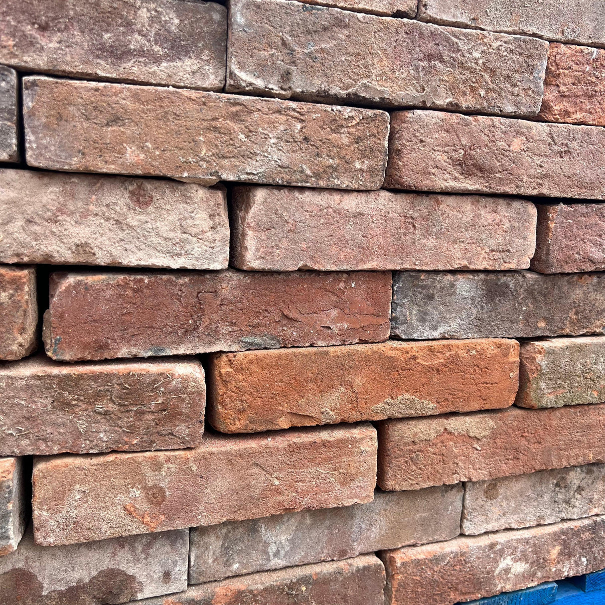 Reclaimed Jacobean 2” Imperial Bricks - Reclaimed Brick Company