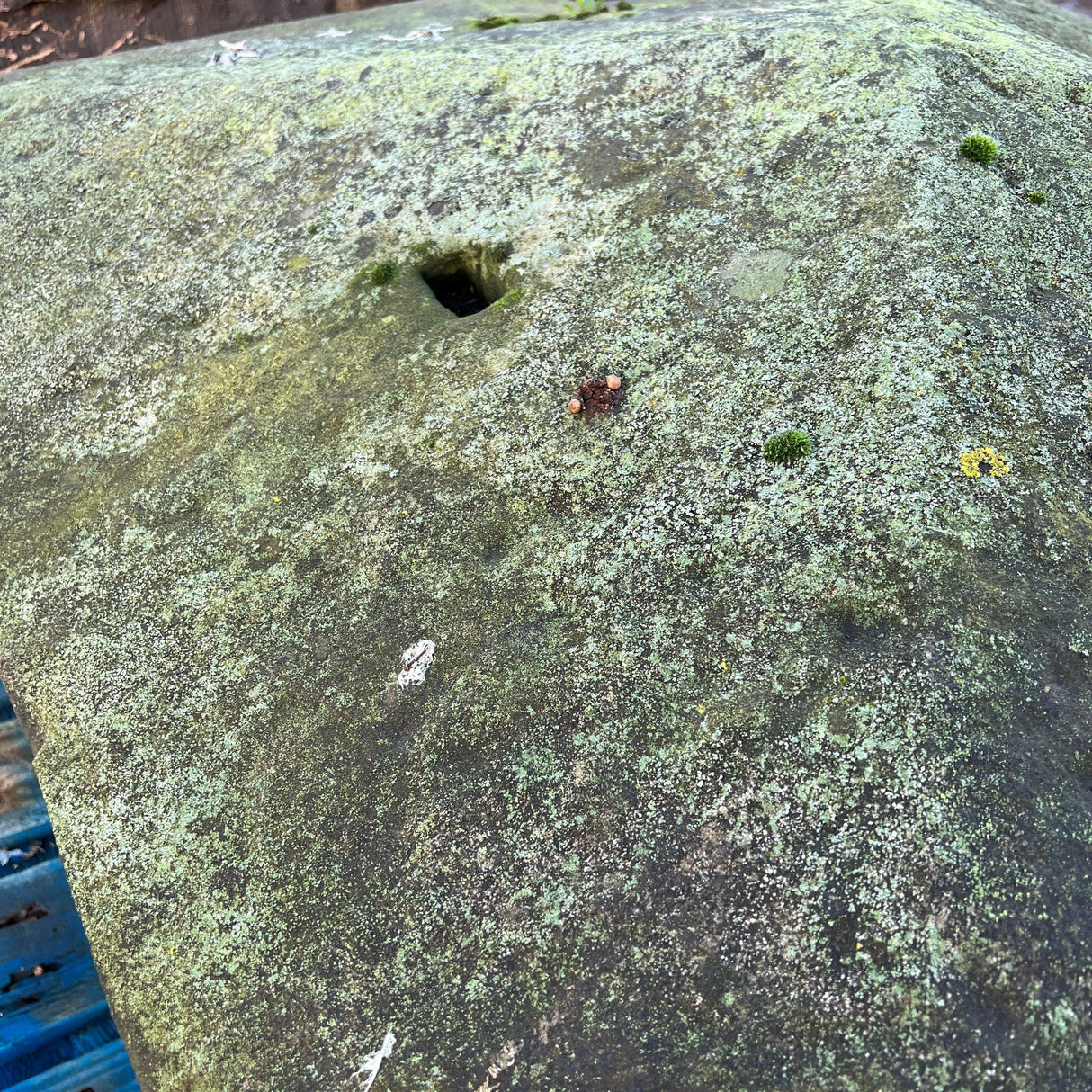 Mossy Reclaimed Natural Stone Pillar Cap - Pair - Reclaimed Brick Company