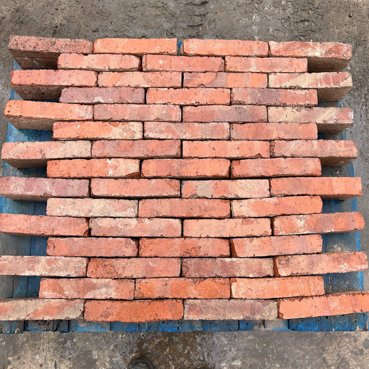 Indoor Feature Bricks - Reclaimed Brick Company