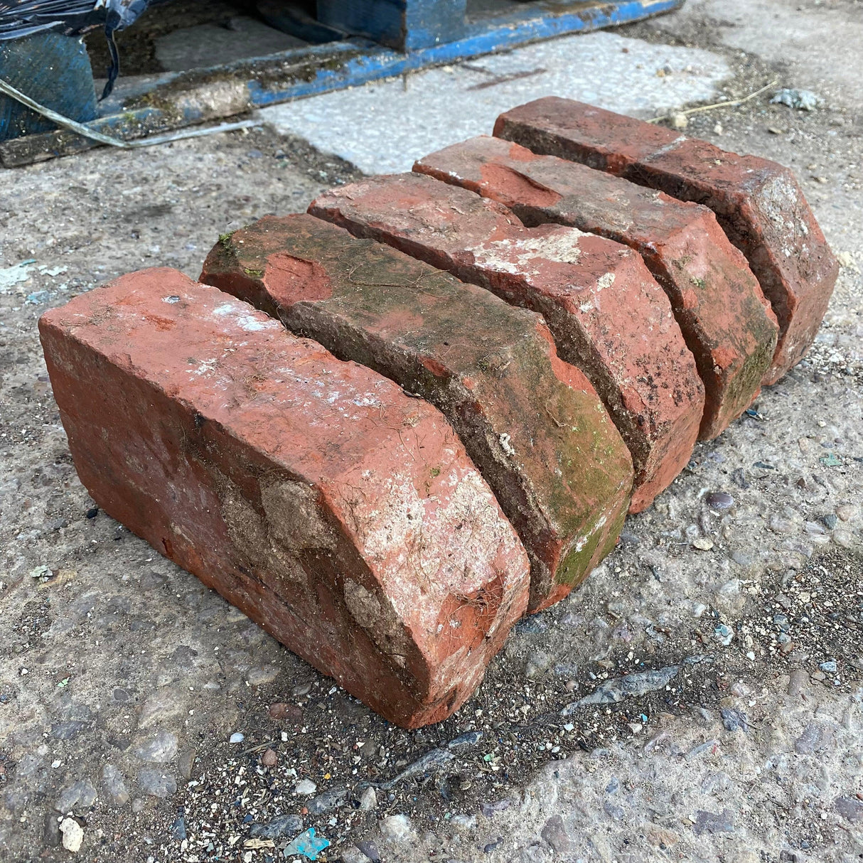 Reclaimed Red Single Cant Bricks - Reclaimed Brick Company