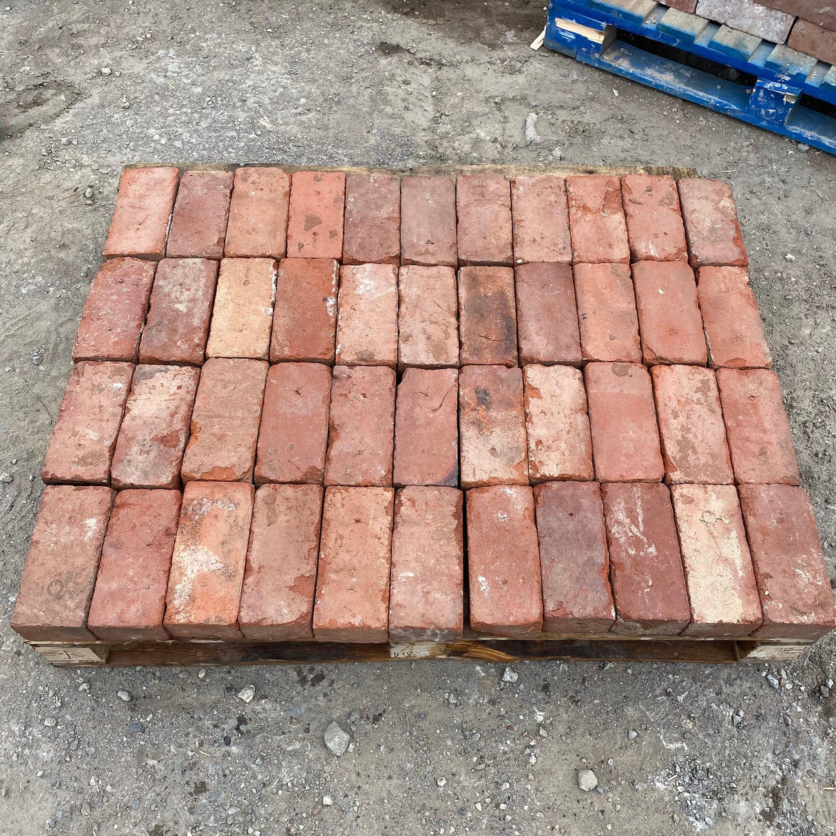 Weathered Reclaimed Red Tudor Paving Bricks - Reclaimed Brick Company
